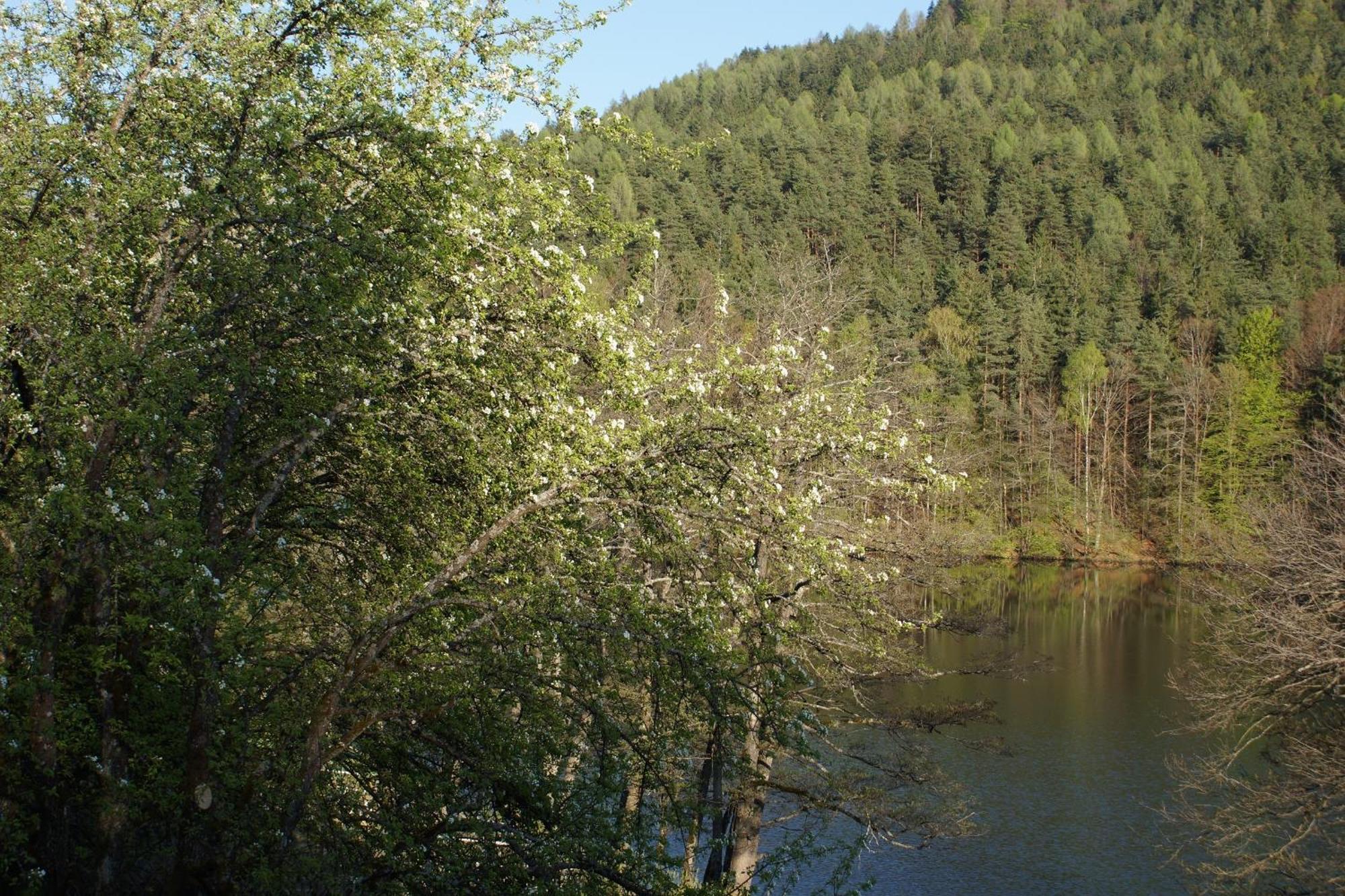 Landgasthof Trattnig Schiefling am See Habitación foto